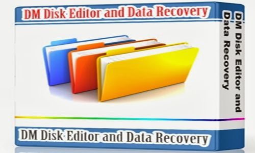 dm disk editor and data recovery software