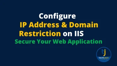 IIS IP Address and Domain Restrictions