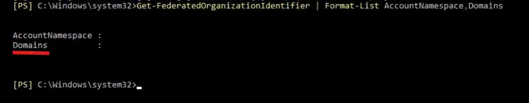 Get-FederatedOrganizationIdentifier2